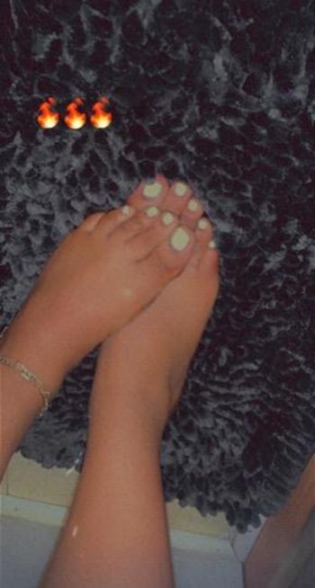 2036062984, female escort, New Haven