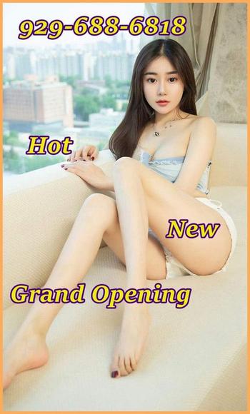 9296886818, female escort, New Haven