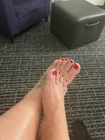 2039905693, female escort, New Haven