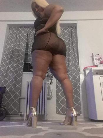 9292699786, female escort, New Haven