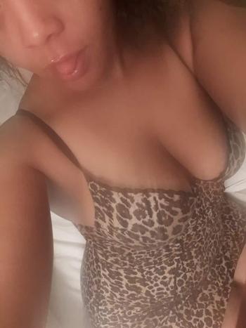 4752122992, female escort, New Haven